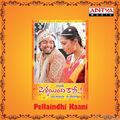 pellaindhi-kaani-2007 Poster