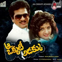 Aa Okkati Adakku (1993)