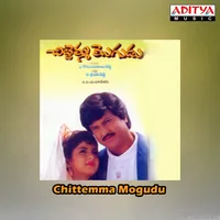 Chittemma Mogudu (1993)