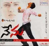 Nenu (2004)