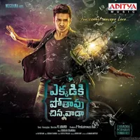 Ekkadiki Pothavu Chinnavada (2016)