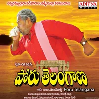 Poru Telangana (2011)
