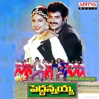 Pedda Annayya (1997)