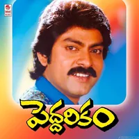 Peddarikam (1992)