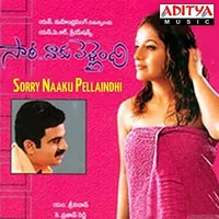 Sorry Naaku Pellaindhi (2003)
