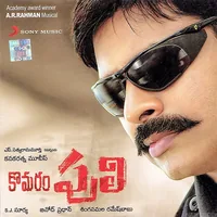 Komaram Puli (2010)