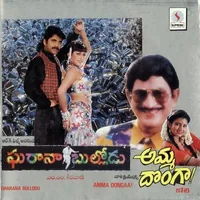 Amma Donga (1995)