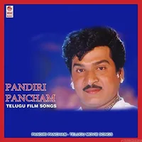 Pandiri Mancham (1992)