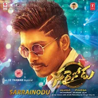 Sarrainodu (2016)