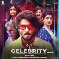 Mr Celebrity (Telugu) (2024)