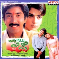Pelli (1997)