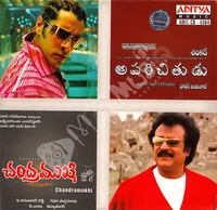 Aparichithudu (2005)