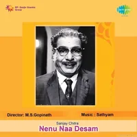 Nenu Naa Desam (1973)