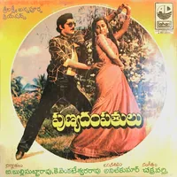 Punya Dampathulu (1987)