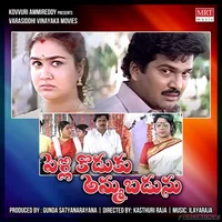 Pellikoduku Ammabadunu (1997)