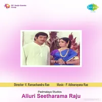 Alluri Seetharama Raju (1974)