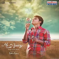 Mr Spicy (Private Album) (2014)