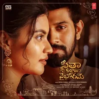 Seetha Kalyana Vaibhogame (2024)
