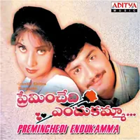 Preminchedi Endukamma (1996)