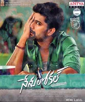 Nenu Local (2017)