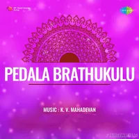 Pedala Brathukulu (1980)