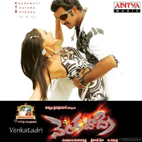 Venkatadri (2009)