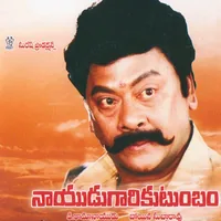 Nayudu Gari Kutumbam (1996)