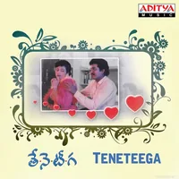 Teneteega (1991)