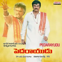 Pedarayudu (1995)