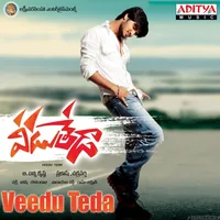 Veedu Teda (2011)
