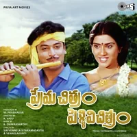 Premachitram Pellivichitram (2003)