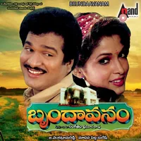 Brundaavanam (1992)