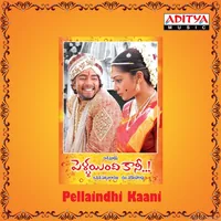 Pellaindhi Kaani (2007)
