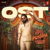 Pushpa 2 The Rule (2024)