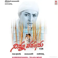 Ninnu Vadhalanu (2014)