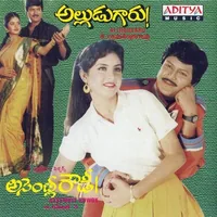 Alludugaru (1990)