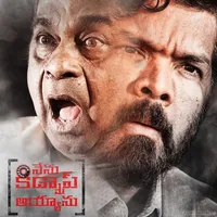 Nenu Kidnap Ayyanu (2017)