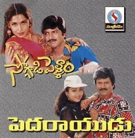 Pedarayudu (1995)