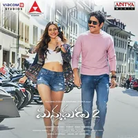 Manmadhudu 2 (2019)