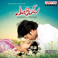 Enjoy (2016)
