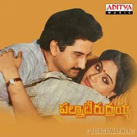 Palnati Rudrayya (1989)