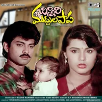 Chinnari Muddula Papa (1988)