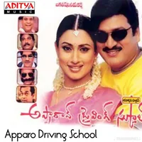 Apparo Driving School (2004)