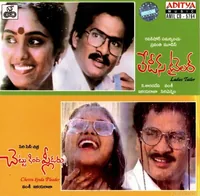 Chettu Kinda Pleader (1989)