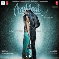 Aashiqui 2 (Telugu Version) (2013)