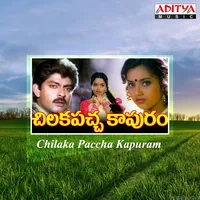 Chilaka Paccha Kapuram (1995)