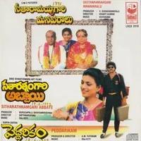 Sitharatnam Gari Abbayi (1992)
